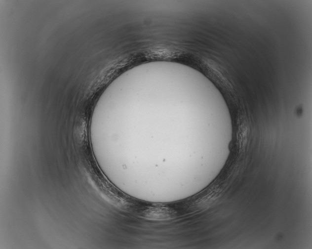 X0000115680459200912031423