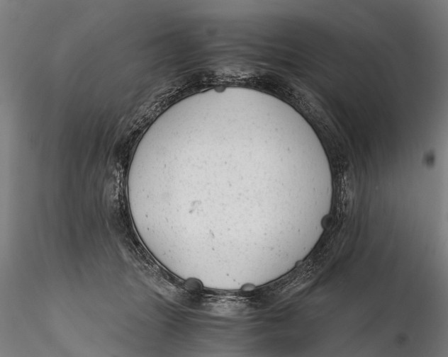 X0000115680463200912031423