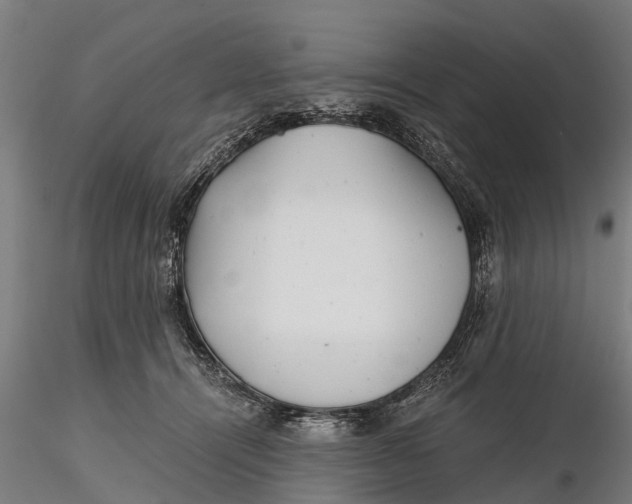 X0000115680464200912031423