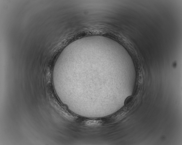 X0000115680465200912031423