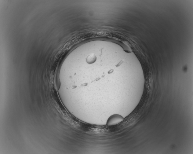 X0000115680466200912031423