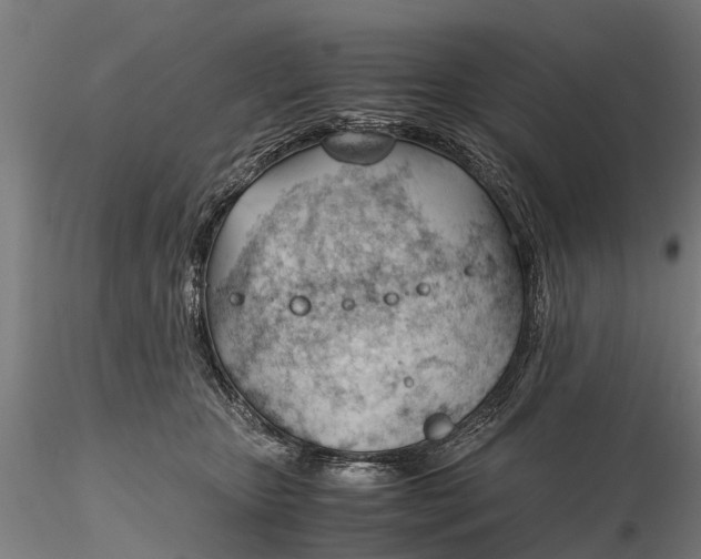 X0000115680467200912031423