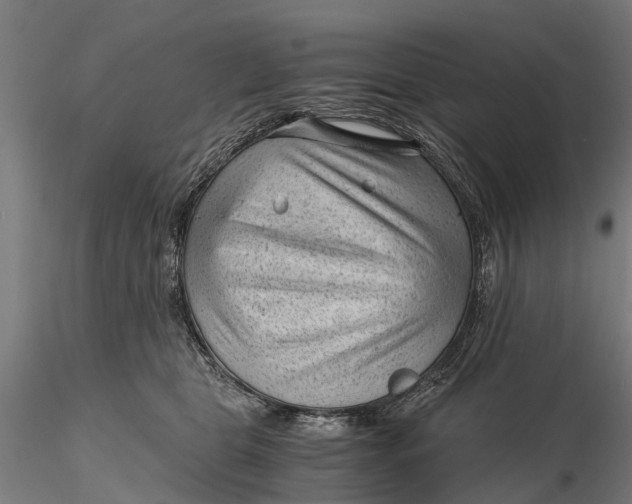 X0000115680469200912031423