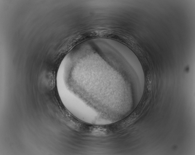 X0000115680471200912031423