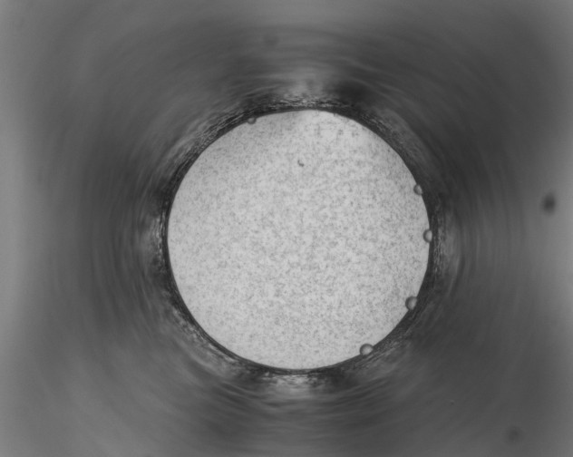 X0000115680473200912031423