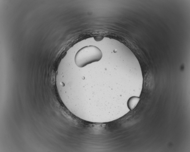 X0000115680474200912031423