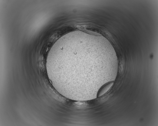 X0000115680477200912031423