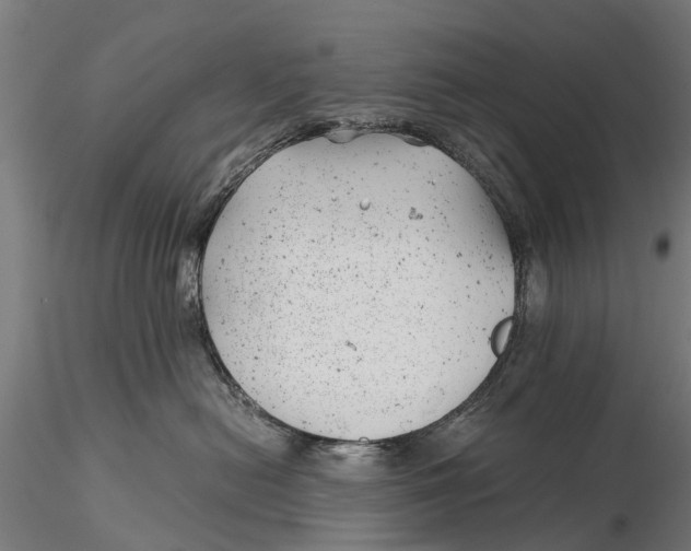 X0000115680478200912031423