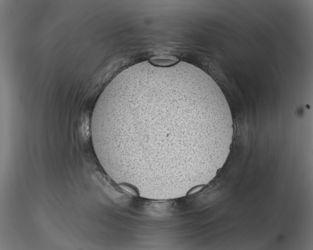 X0000115680479200912031423