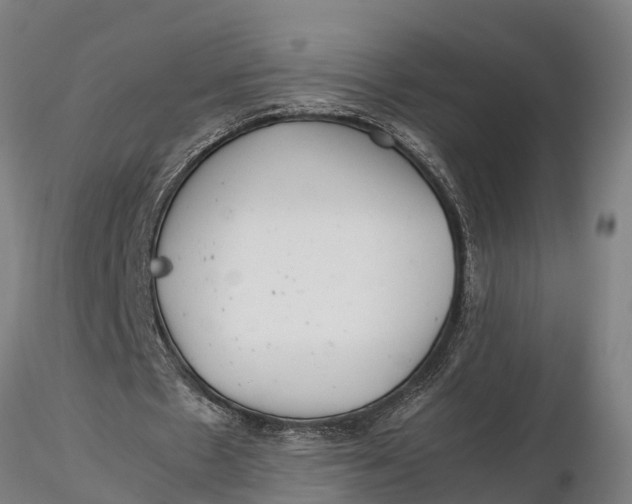 X0000115680481200912031423