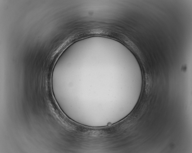 X0000115680482200912031423