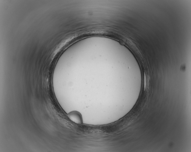 X0000115680483200912031423