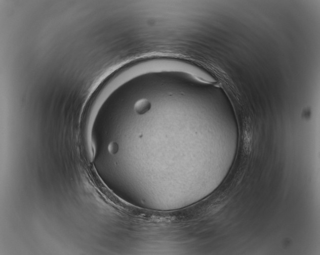 X0000115680484200912031423