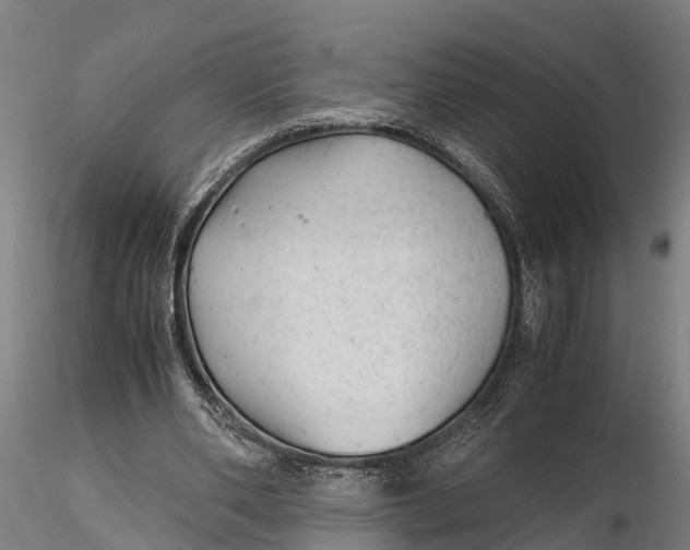 X0000115680486200912031423