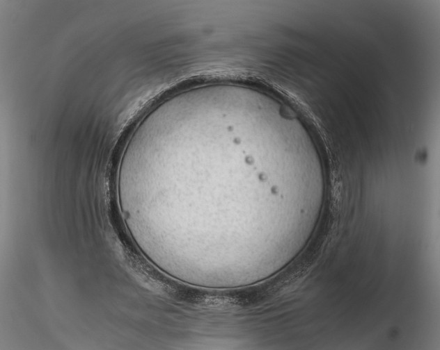 X0000115680487200912031423