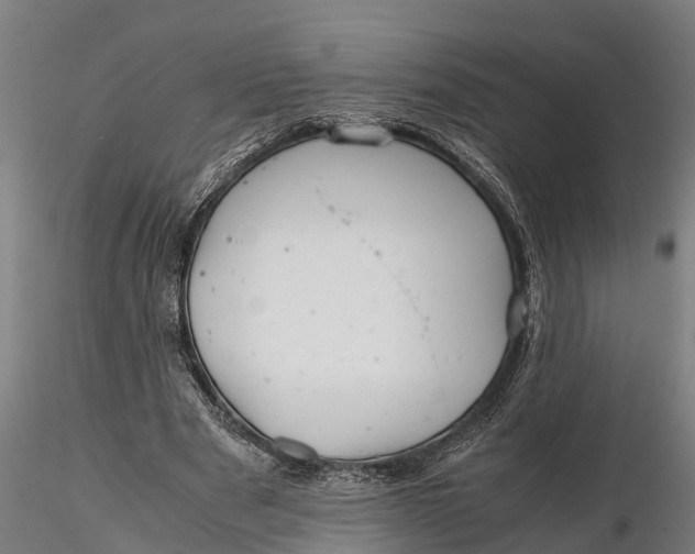 X0000115680489200912031423