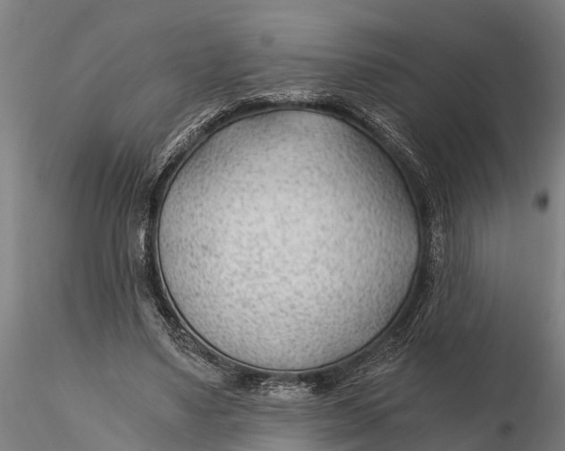 X0000115680491200912031423