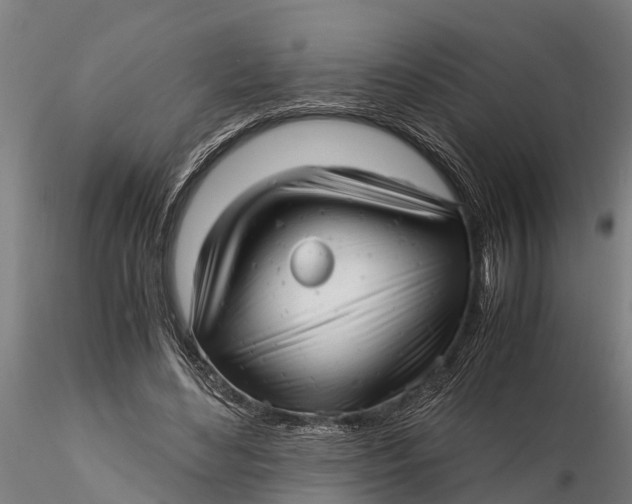 X0000115680492200912031423