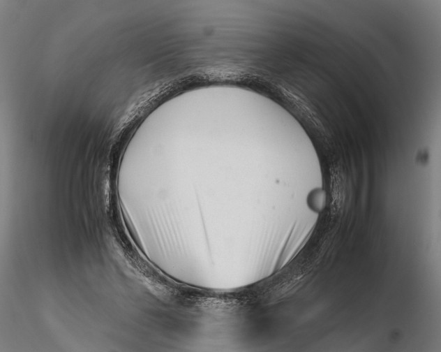 X0000115680494200912031423