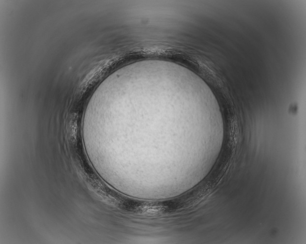 X0000115680495200912031423