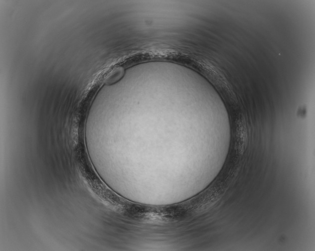 X0000115680496200912031423