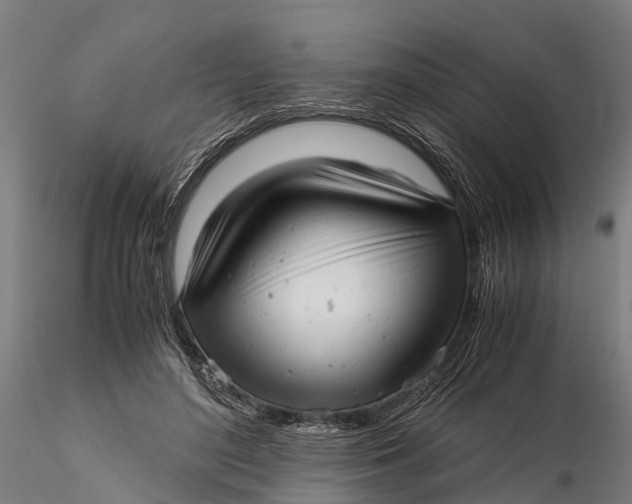 X0000115680500200912031423