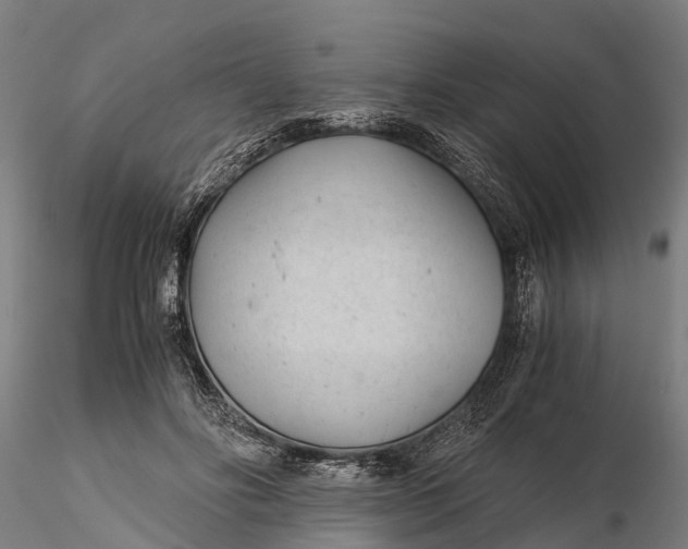 X0000115680502200912031422