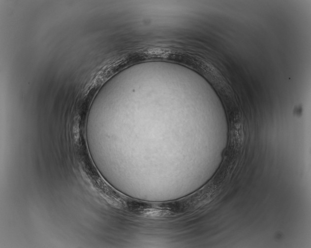 X0000115680504200912031422