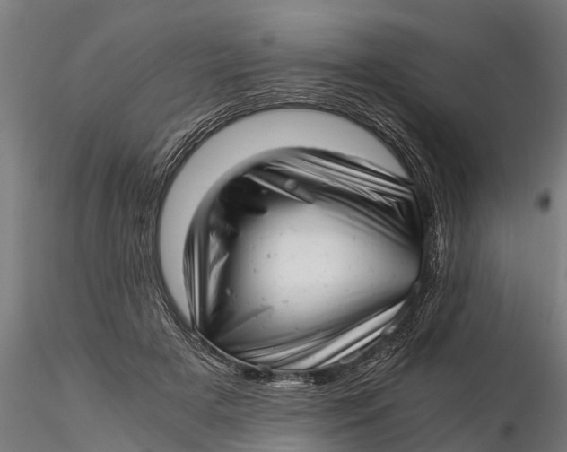 X0000115680505200912031422