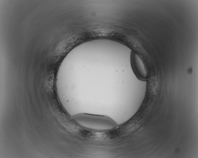 X0000115680509200912031422