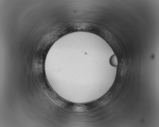 X0000115680510200912031422