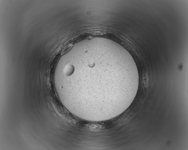 X0000115680512200912031422