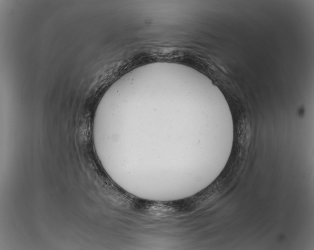 X0000115680515200912031422