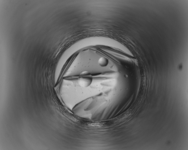 X0000115680516200912031422