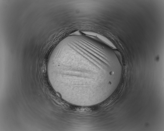 X0000115680517200912031422