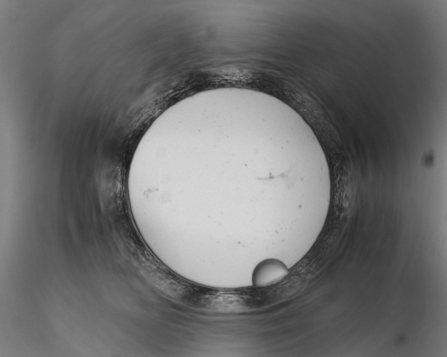 X0000115680518200912031422