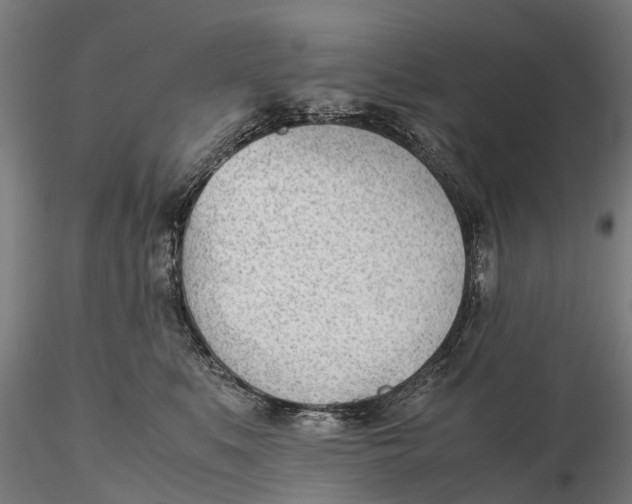 X0000115680519200912031422