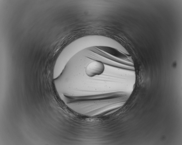 X0000115680520200912031422