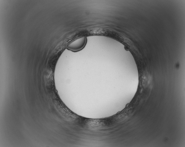 X0000115680521200912031422