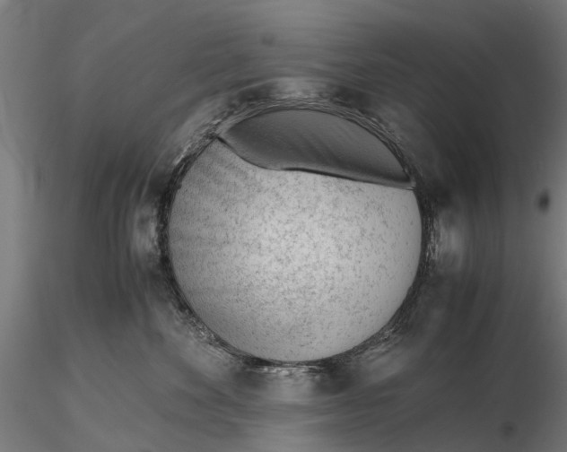 X0000115680524200912031422