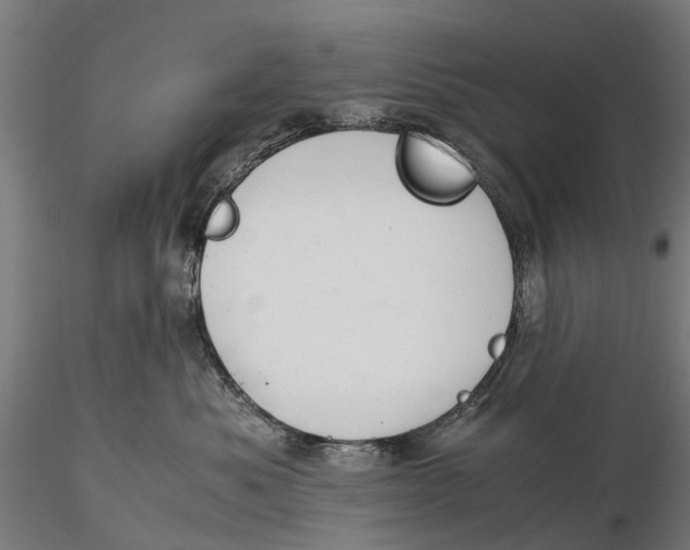 X0000115680525200912031422