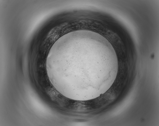 X0000115680526200912031422