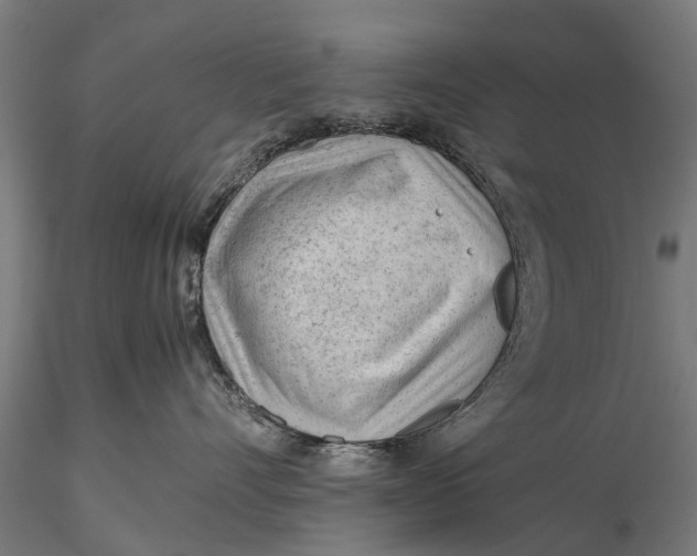 X0000115680528200912031422