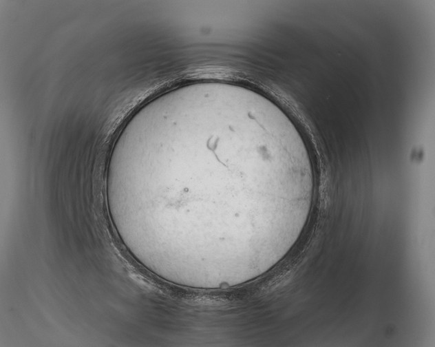 X0000115680529200912031421