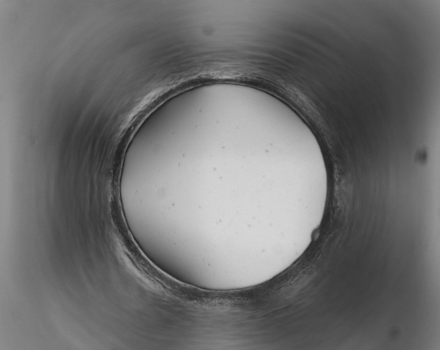 X0000115680530200912031421