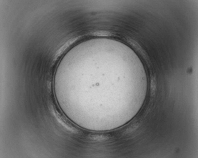 X0000115680533200912031421