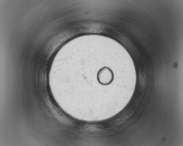 X0000115680534200912031421