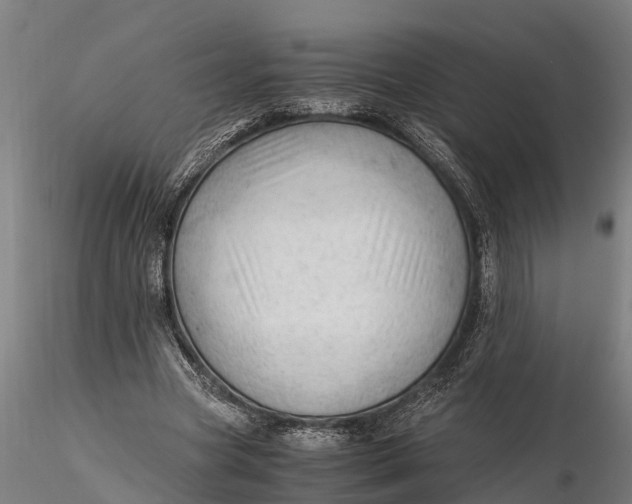 X0000115680537200912031421