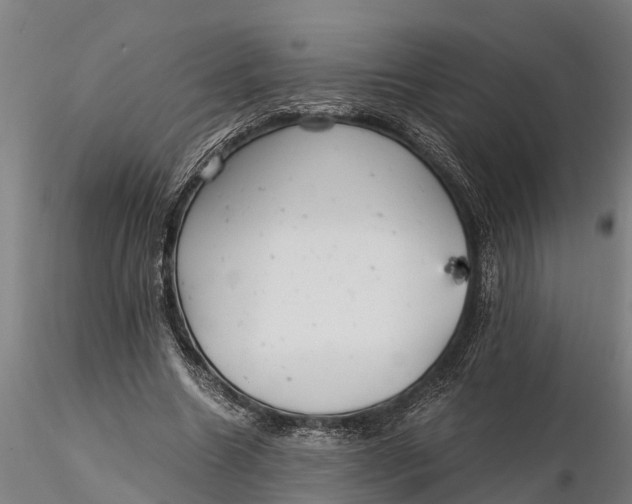 X0000115680538200912031421