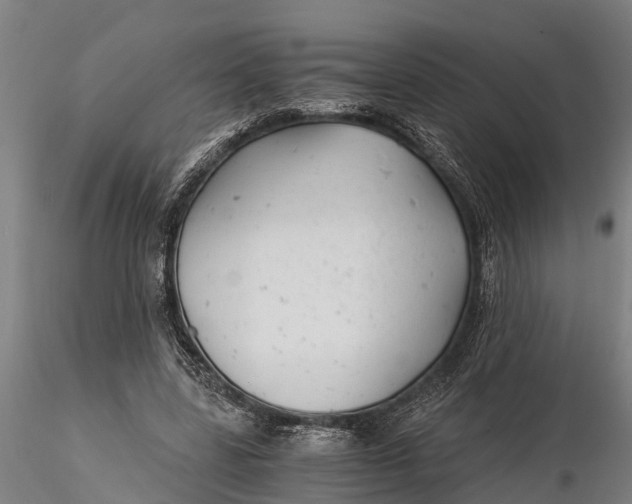 X0000115680539200912031421